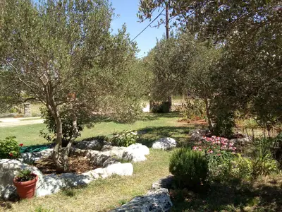 Ferienwohnung für 4 Personen (60 m²) in Kraj 7/10