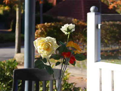 Ferienwohnung für 2 Personen (55 m²) in Boltenhagen (Ostseebad) 10/10