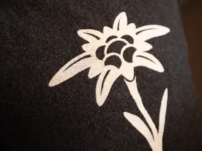 Ferienwohnung für 4 Personen (60 m²) in Stadt Innsbruck 10/10