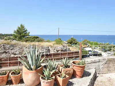 Ferienwohnung für 2 Personen (25 m²) in Primošten 3/10