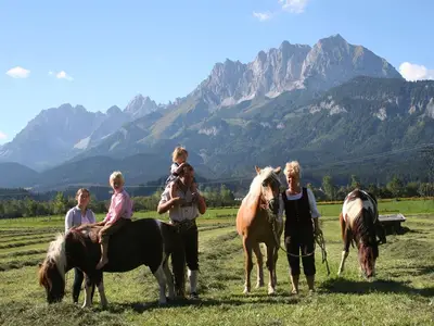 Lacknerhof, St. Johann, Pferde