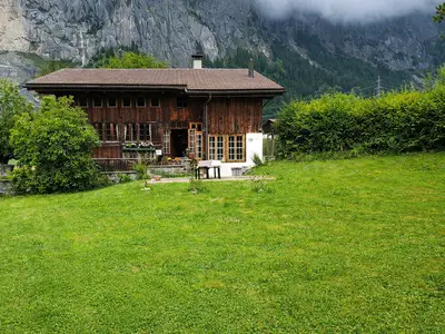 Seitenansicht Frühling