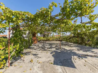 Ferienwohnung für 3 Personen (35 m²) in Tkon 4/10