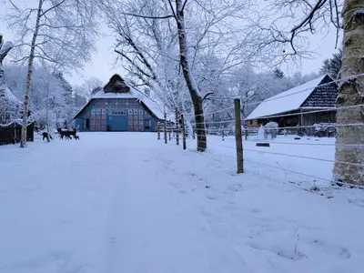 Ferienwohnung für 4 Personen (65 m²) in Worpswede 1/10
