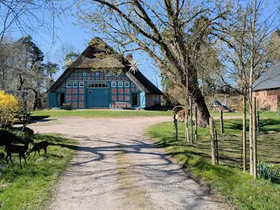 Ferienwohnung für 4 Personen (65 m²) in Worpswede 6/10
