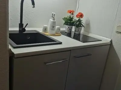 Ferienwohnung für 3 Personen (30 m²) in Goslar-Hahnenklee 4/10