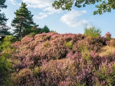 Ferienwohnung für 4 Personen (57 m²) in Cuxhaven 10/10