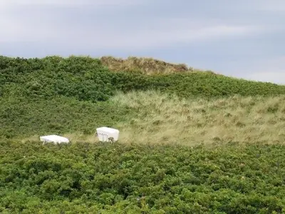 Ferienwohnung für 3 Personen (62 m²) in Kampen 10/10