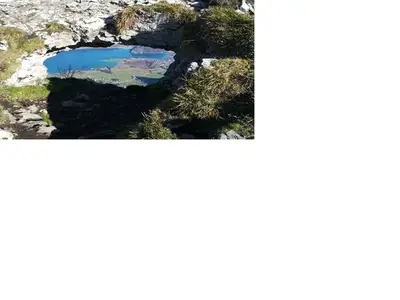 Ferienwohnung für 3 Personen (18 m²) in Strobl 9/10