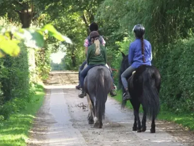 Ostsee Reiten Ferienhof Osterbunsbüll