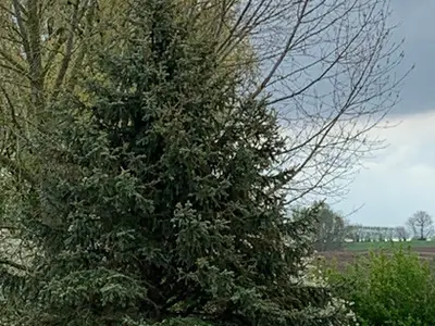 Ferienwohnung für 6 Personen (120 m²) in Grömitz 3/10