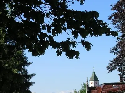 Ferienwohnung für 4 Personen (60 m²) in Wangen im Allgäu 9/10