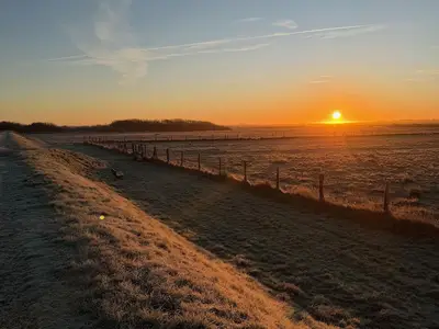 Ferienwohnung für 4 Personen (35 m²) in Sylt-Ost 1/10