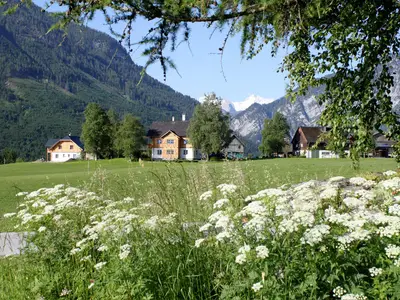 myNests-Stanglhof-Apartments-Ausseerland-Bad-Ausse