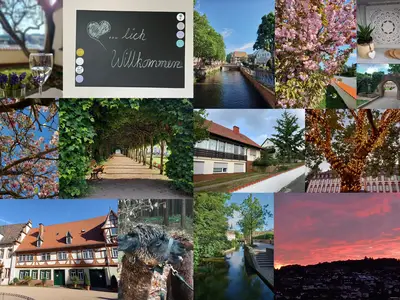 Unsere Ferienwohnung und Umgebung