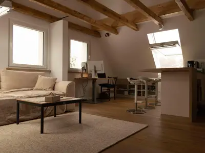 Offener Wohn-Koch-Arbeitsbereich