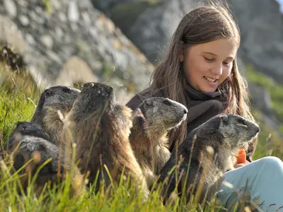 Victoria in unseren Bergen mit Murmeltiere