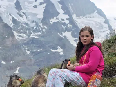 Murmeltiere am Grossglockner