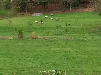 Zum Bienenstock-Aussicht