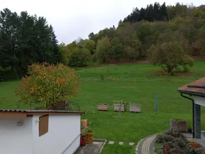 Zum Bienenstock- Aussicht