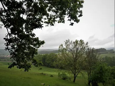 Zum Bienenstock- Landschaft