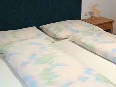 Ferienwohnung für 4 Personen (75 m²) in Arzl im Pitztal 10/10