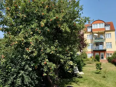 Ferienwohnung für 4 Personen (80 m²) in Malchow 5/10