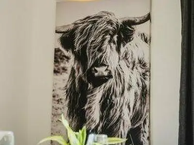 iP9NoMBPS152DlOGvyZ5