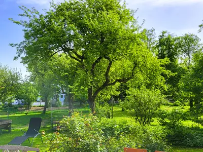 Ausblick in den Garten