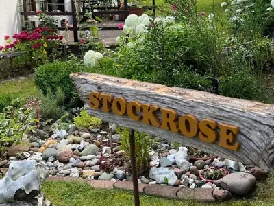 Ferienwohnung für 4 Personen (70 m²) in Lohme (Rügen) 2/10