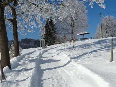 Winter_Weg