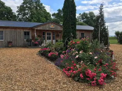 Ferienwohnung für 6 Personen (70 m²) in Lütow 3/10