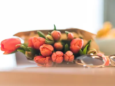 Ferienwohnung für 4 Personen (45 m²) in Prerow 7/10