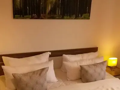 Ferienwohnung für 4 Personen (60 m²) in Braunlage 5/10