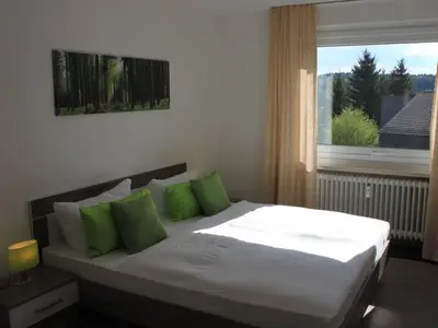 Ferienwohnung für 4 Personen (60 m²) in Braunlage 6/10