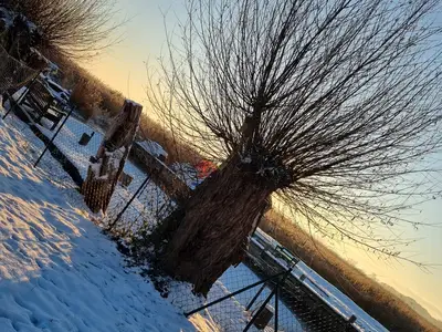 Ferienwohnung für 4 Personen (45 m²) in Lütow 9/10