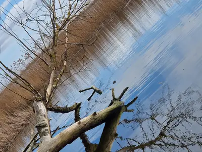 Ferienwohnung für 4 Personen (45 m²) in Lütow 10/10