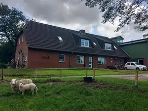 Ferienwohnung für 4 Personen (65 m²) in Husum