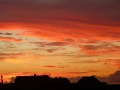 Ferienwohnung für 4 Personen (50 m²) in Baltrum 9/10