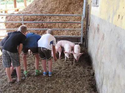 Ferienwohnung für 4 Personen (80 m²) in Dürnstein in der Steiermark 4/10