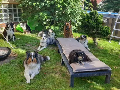 54764713-87e8-4567-a952-c54abf86fe92