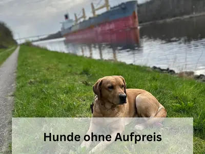 Ferienwohnung für 3 Personen (56 m²) in Bornholt 8/10