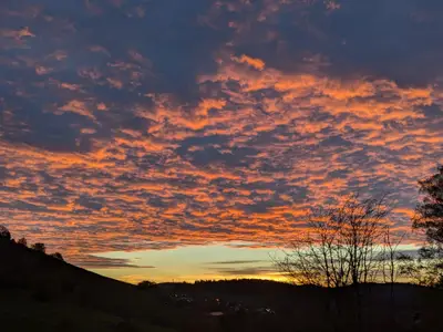 Ferienwohnung für 5 Personen (75 m²) in Schopfheim 4/10