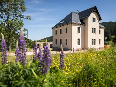 Ferienwohnung für 2 Personen (43 m²) in Eibenstock 4/10