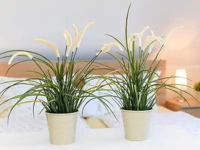 Ferienwohnung für 3 Personen (25 m²) 6/10