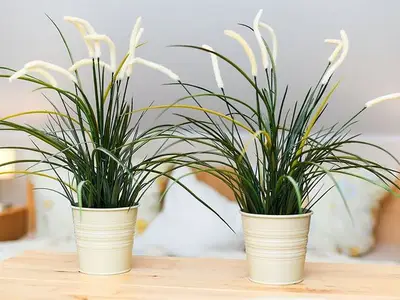 Ferienwohnung für 3 Personen (25 m²) 6/10