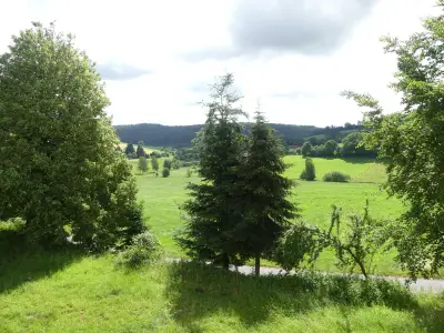 Im grünen Eck-Blick ins Grüne