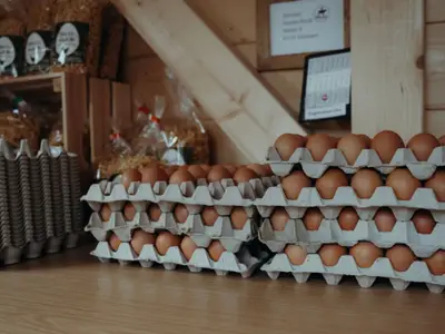 die Eier in unserem Eierhaus