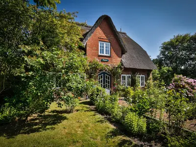 Ferienwohnung für 4 Personen (60 m²) in Kampen 1/8