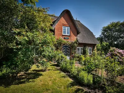 Ferienwohnung für 4 Personen (60 m²) in Kampen 1/6